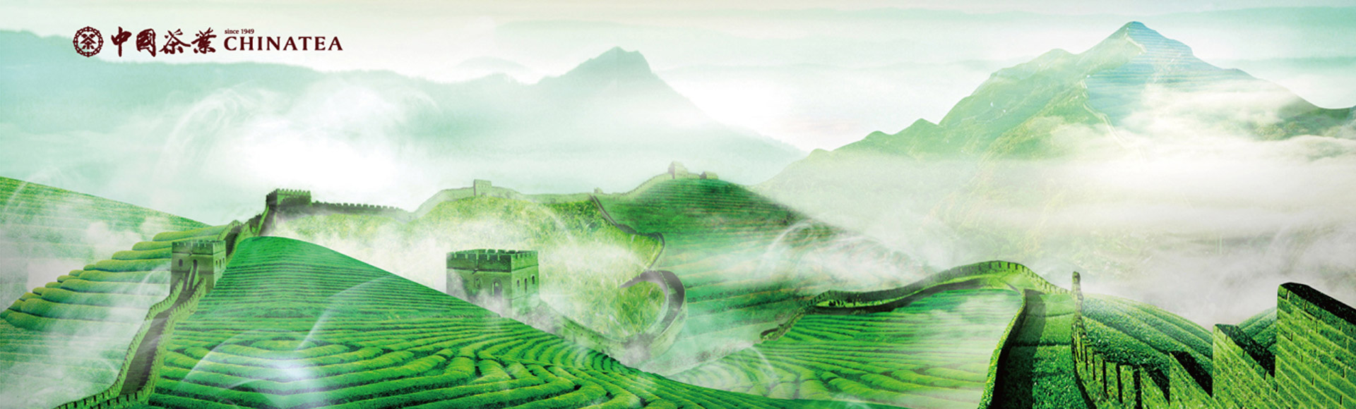 realized China Tea’s real leader position in the industry by the forward-looking strategic transformation and continuous marketing core breakthrough] 270 words