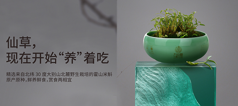 九仙尊米斛--勞心者滋補瑰寶