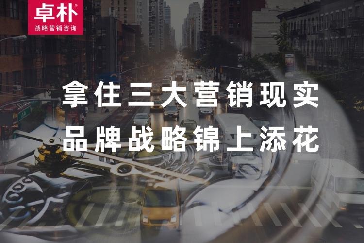 拿住三大(dà)營銷現實，品牌戰略錦上添花