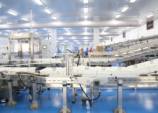 5年(nián)，增長25倍，周黑(hēi)鴨在京東線上展翅