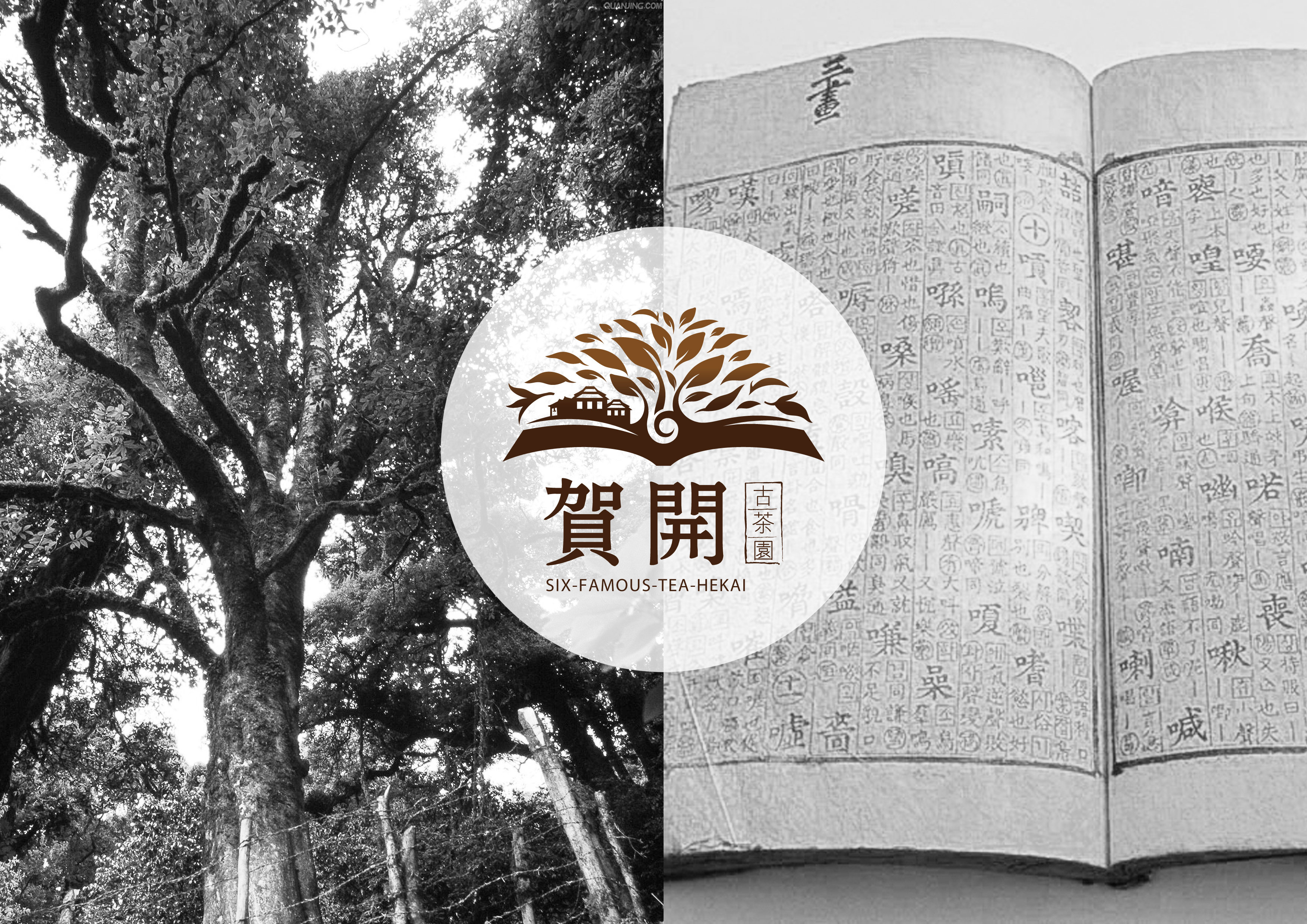 微信圖片_20220622112131